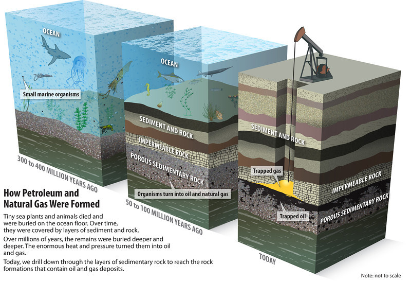 Oil-and-Natural-Gas-Formation