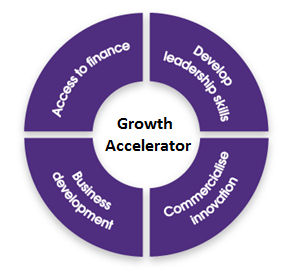 Growth-Accelerator