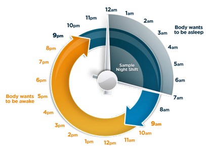 shift-work-cycle