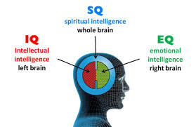 iq-eq