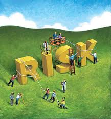 risk-management-micro-business