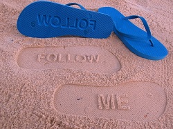 follow-me-desert