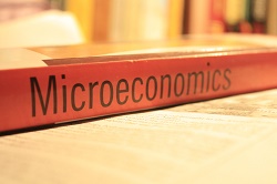 microeconomics-important-points