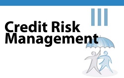 credit-risk-management-principles