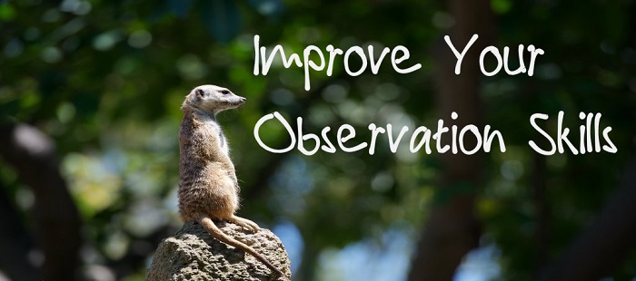 boost-your-observation-skills