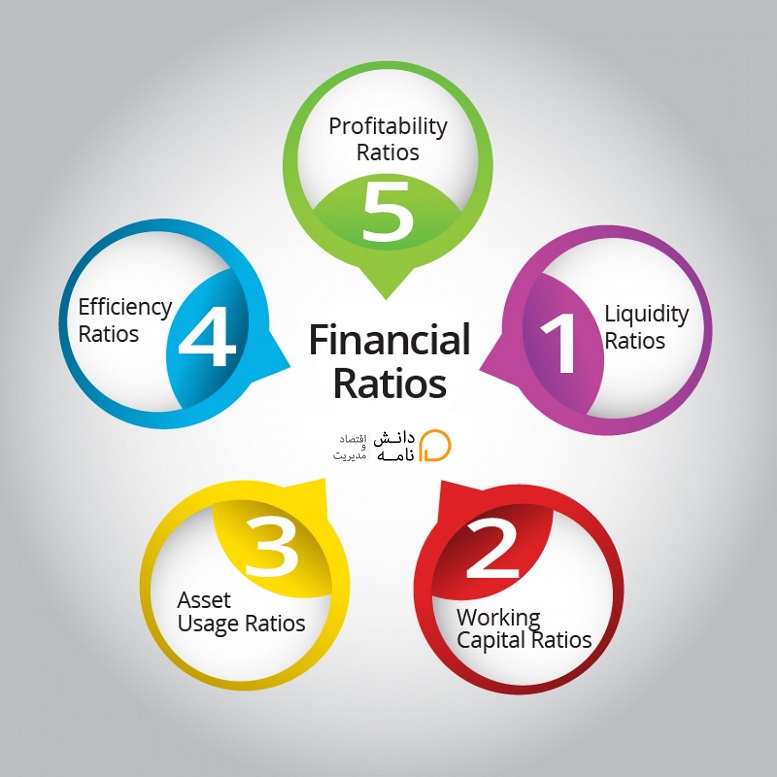 the-financial-ratios